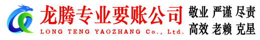 玄武龙腾清债公司